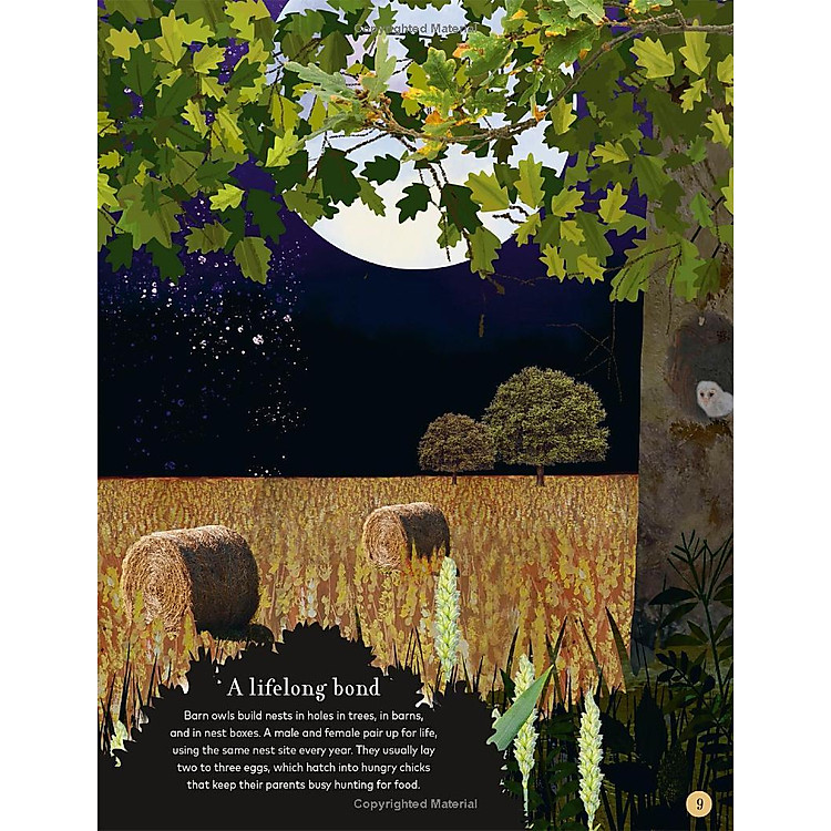 Through The Night Sky: A Collection Of Amazing Adventures Under The Stars - Ảnh 4