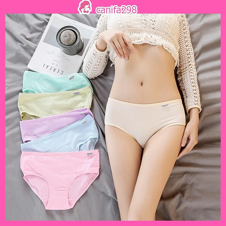 Quần lót nữ - Combo 5 - 10 quần lót cotton xuất Mỹ