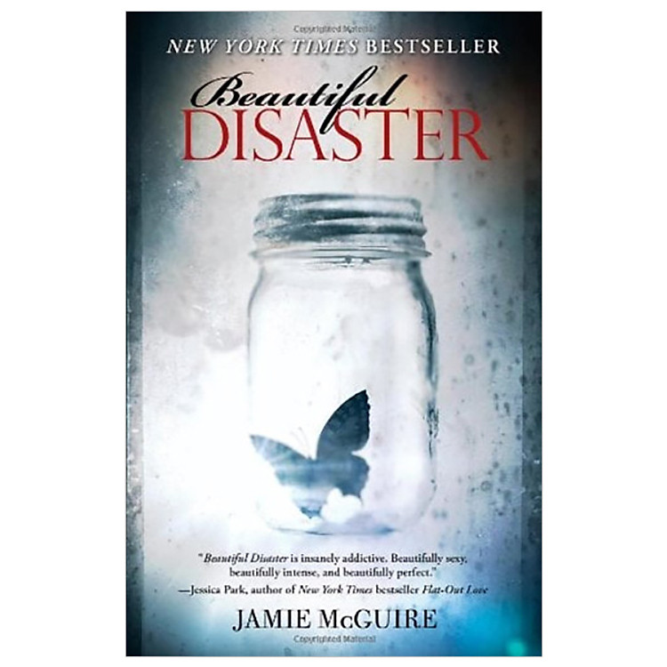 Beautiful Disaster