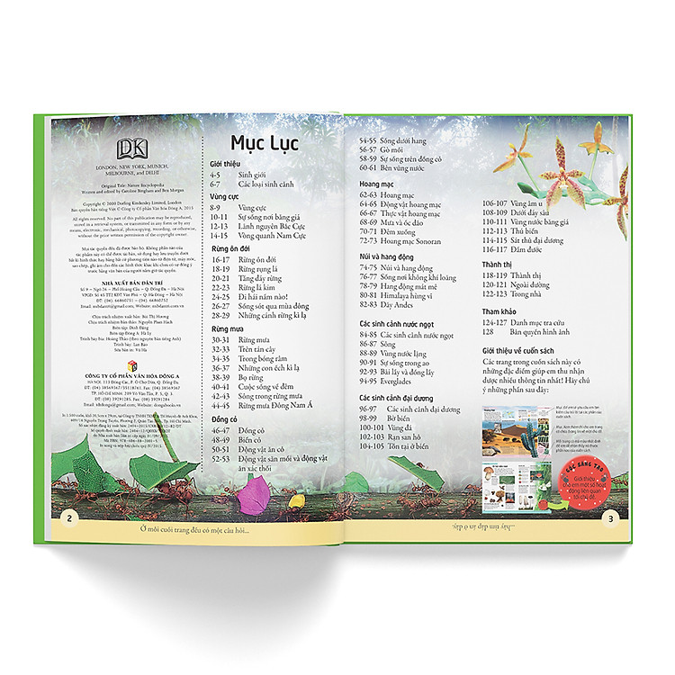 Bách Khoa Cho Trẻ Em – Bách Khoa Tự Nhiên - Ảnh 3