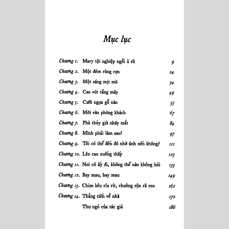 Cây Chổi Phép Thuật - Ảnh 2