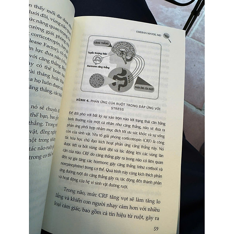 NÃO, RUỘT & VI KHUẨN - Những Gì Bạn Ăn Có Thể Cải Thiện Sức Khỏe, Chữa Lành Cảm Xúc Và Cân Bằng Thân Tâm - Ảnh 3