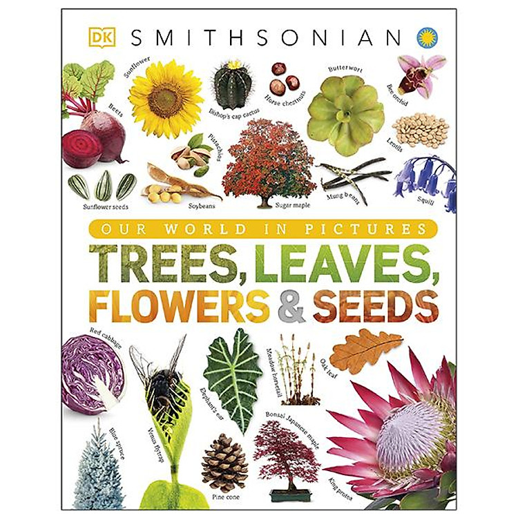 Trees, Leaves, Flowers And Seeds: A Visual Encyclopedia Of The Plant Kingdom
