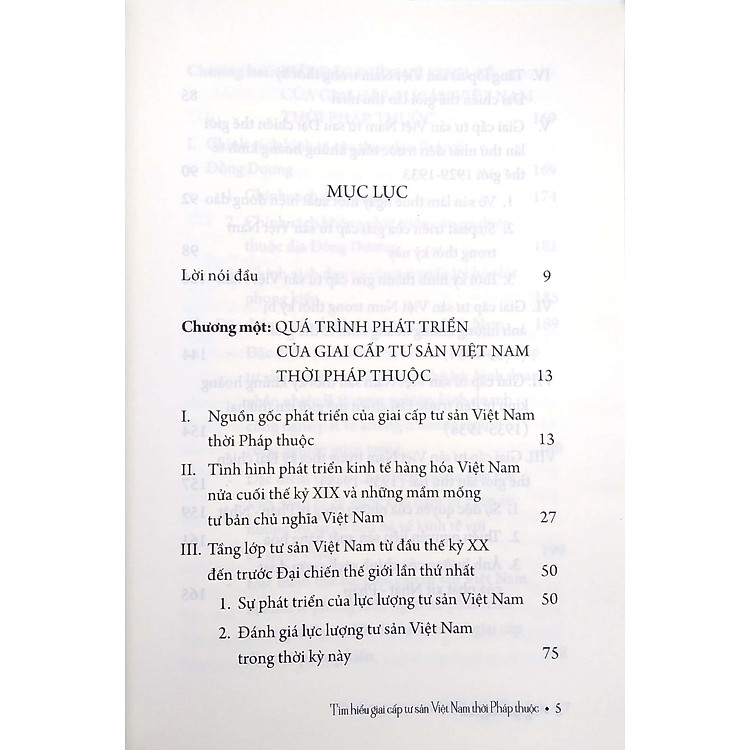 Tìm Hiểu Giai Cấp Tư Sản Việt Nam Thời Pháp Thuộc - Ảnh 6