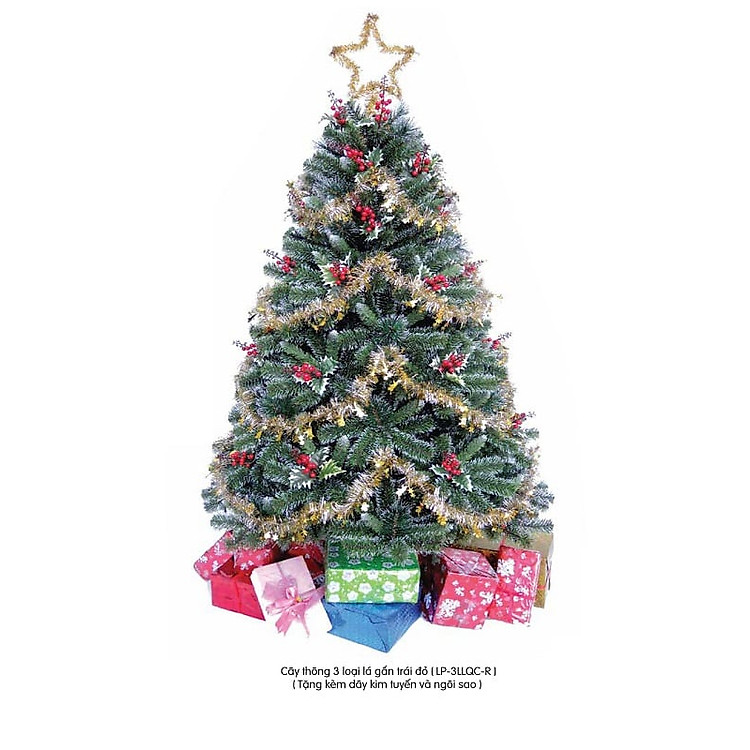 Cây thông noel 3 loại lá gắn trái đỏ cao 2m - Ảnh 2