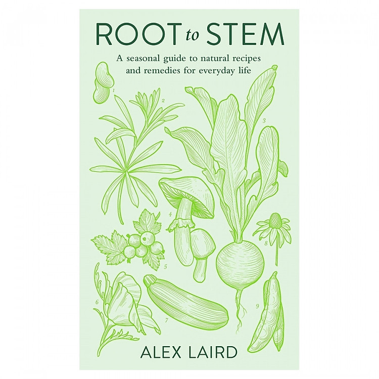 Root To Stem