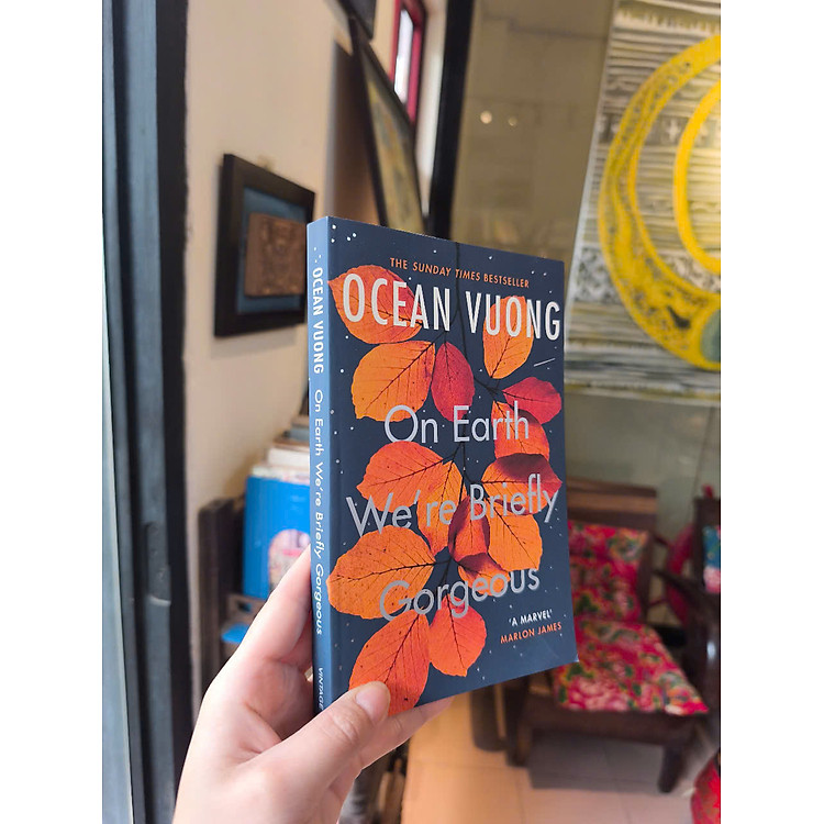 On Earth We’re Briefly Gorgeous - Ảnh 3