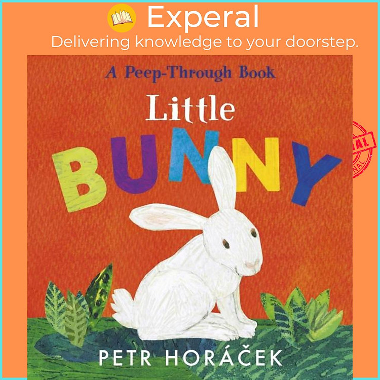 Sách - Little Bunny by Petr Horacek (UK edition, boardbook)