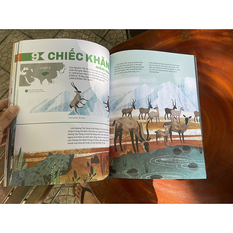 23 SẢN PHẨM ĐẨY CÁC LOÀI SINH VẬT ĐẾN BỜ VỰC TUYỆT CHỦNG – từ điển động vật quý hiếm (ấn bản kỷ niệm 65 năm thành lập NXB Kim Đồng) - Ảnh 2