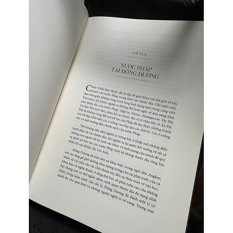 TUYỂN TẬP TRANH ẢNH LỊCH SỬ ĐÔNG DƯƠNG THUỘC PHÁP - Ảnh 5