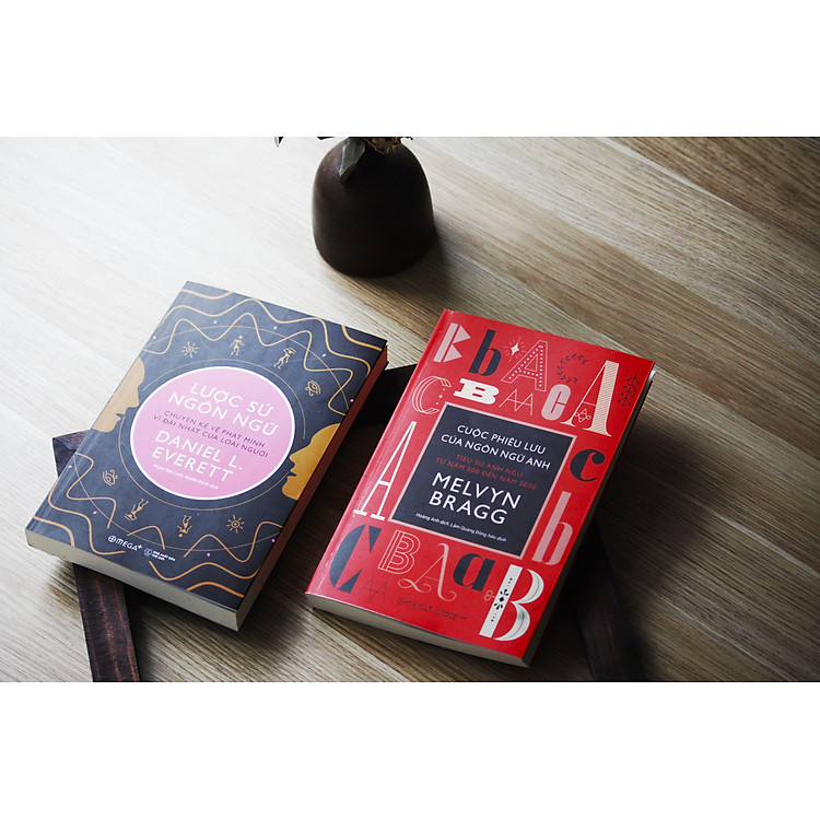 Lược Sử Ngôn Ngữ - Ảnh 4