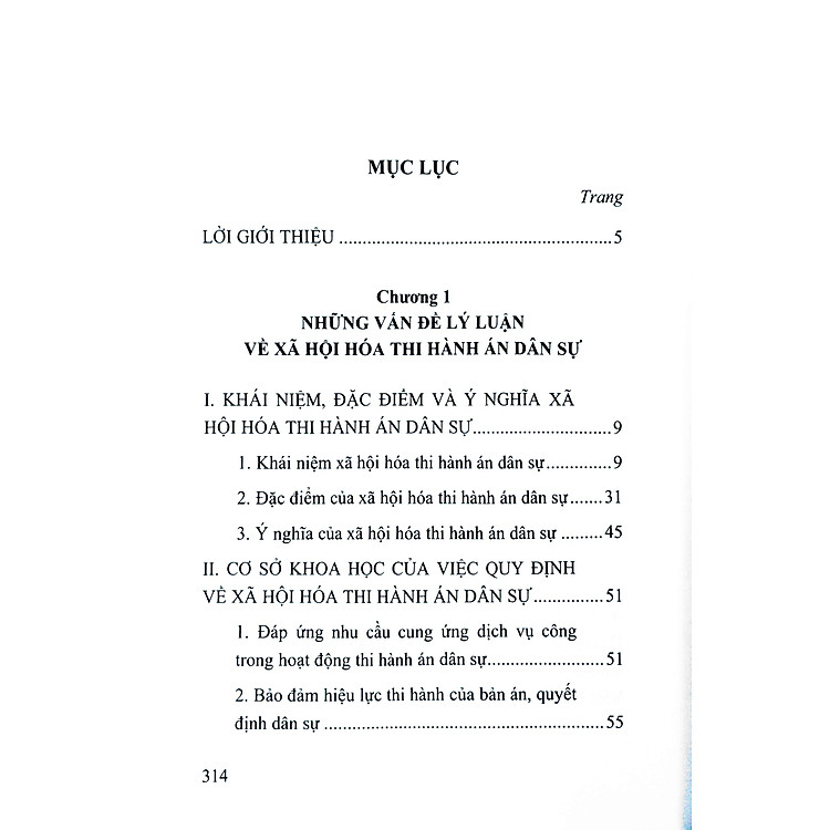 Xã Hội Hóa Thi Hành Án Dân Sự Ở Việt Nam - Ảnh 4