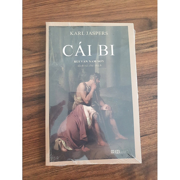 Cái Bi - Tiểu thuyết - Ảnh 2