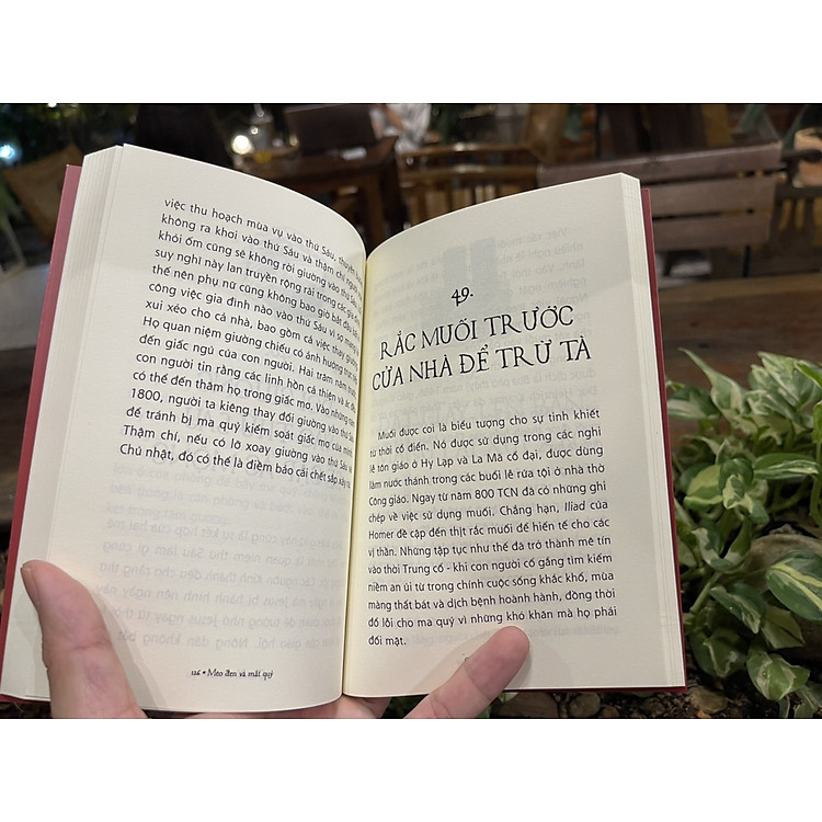 MÈO ĐEN VÀ MẮT QUỶ - Chloe Rhodes - Ảnh 2