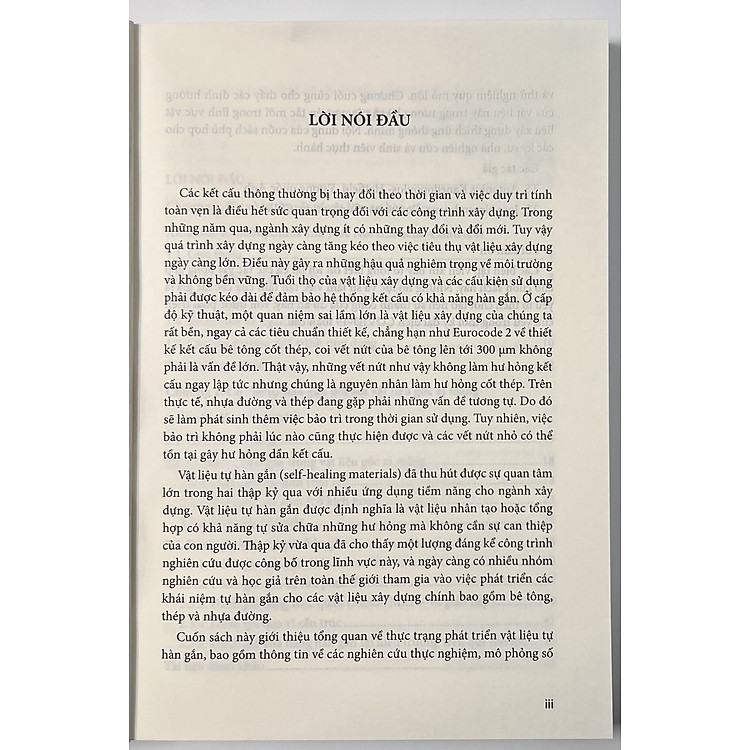 Vật Liệu Xây Dựng Tự Hàn Gắn - Các Lý Thuyết Cơ Bản, Quan Trắc Và Ứng Dụng Quy Mô Lớn - Ảnh 4