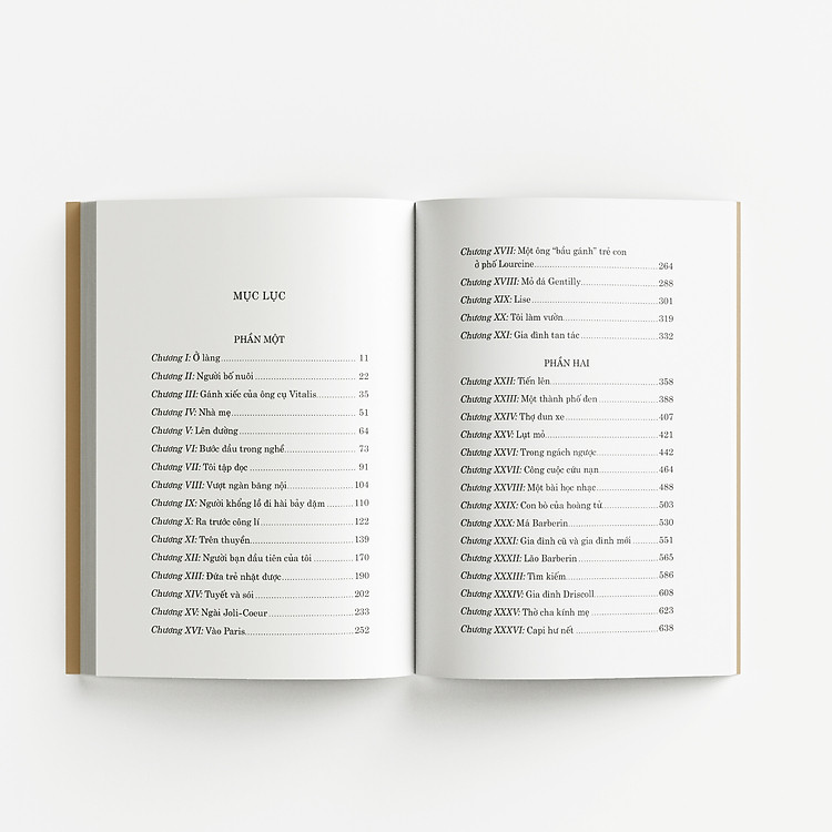 Không gia đình - Ảnh 2