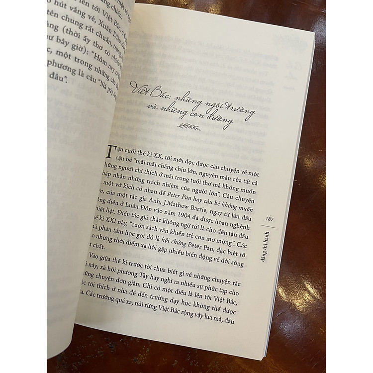 CÔ BÉ NHÌN MƯA - Hồi ký của Đặng Thị Hạnh - Ảnh 5