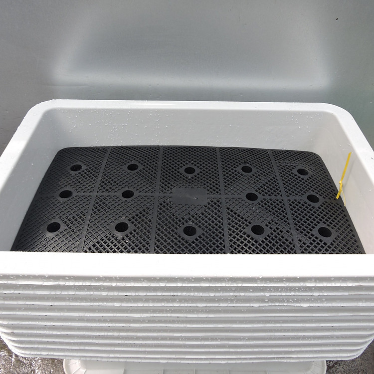 Chậu Trồng Cây Thông Minh