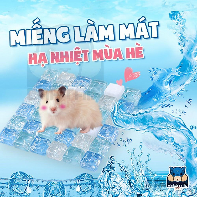 Đá pha lê làm mát cho hamster , sóc , bọ ú