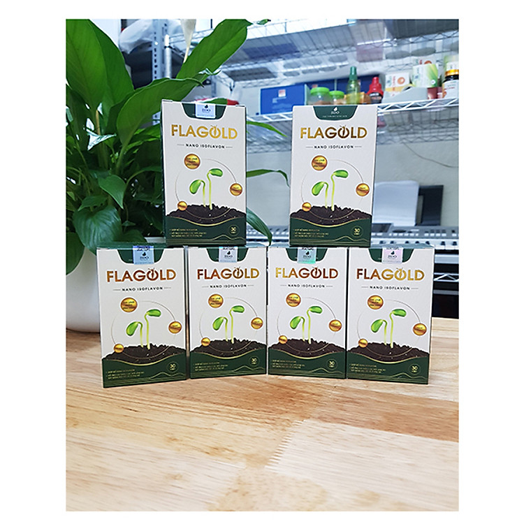 Combo 1 Liệu Trình - 06 Hộp Nano Mầm Đậu Nành Flagold