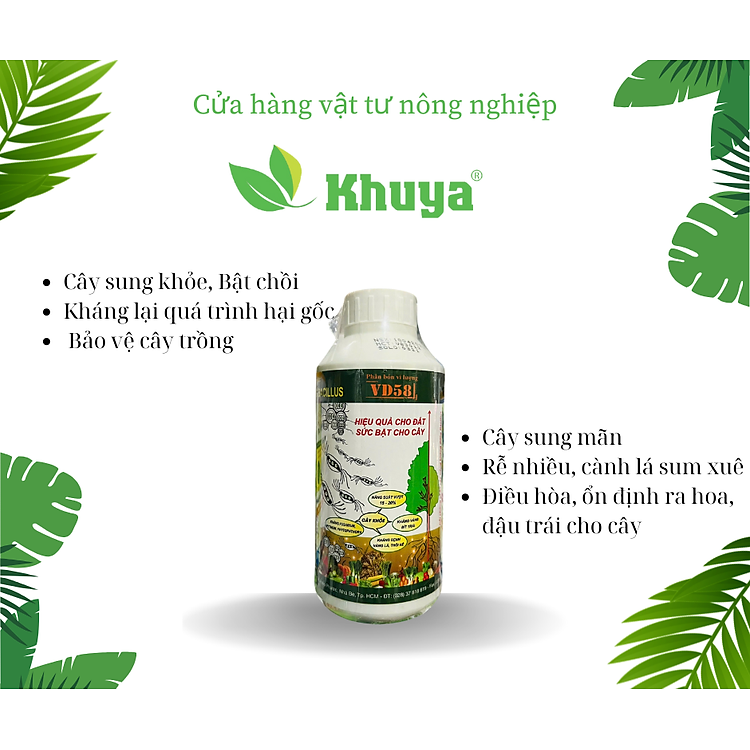 Vi Khuẩn Đối Kháng Bacillus Vidan 500ml