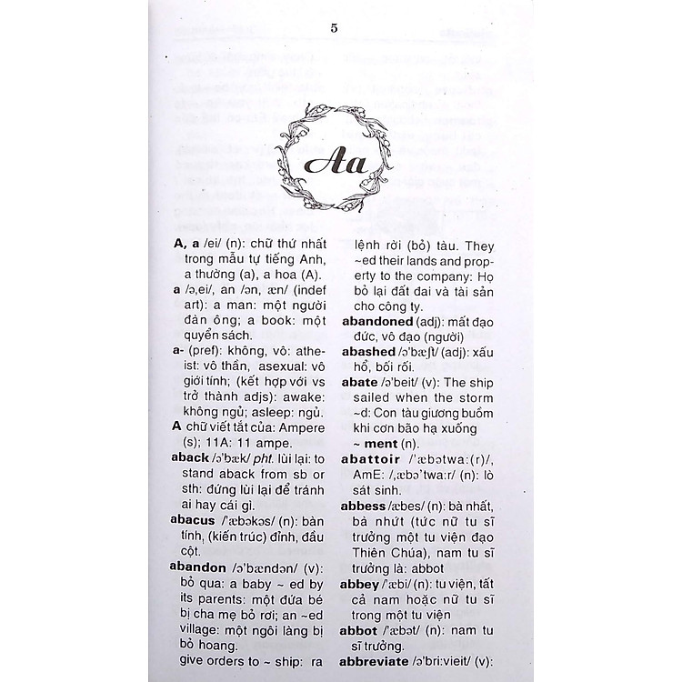 Từ Điển Anh - Việt Dành Cho Mọi Đối Tượng (85.000 Từ) - Ảnh 4