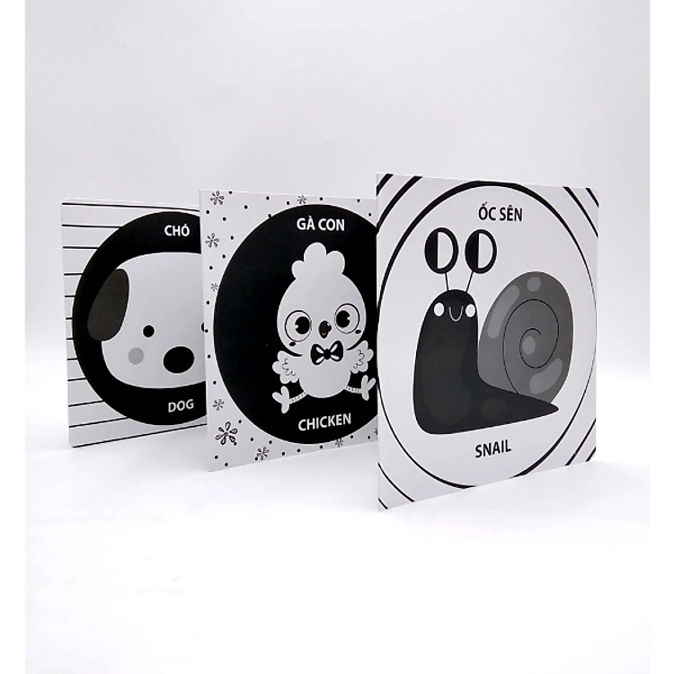 Ziczac Thị Giác Cho Trẻ Sơ Sinh - Ảnh 4