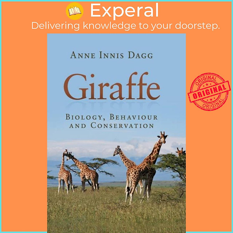 Sách - Giraffe - Biology, Behaviour and Conservation by Anne Innis Dagg (UK edition, paperback)