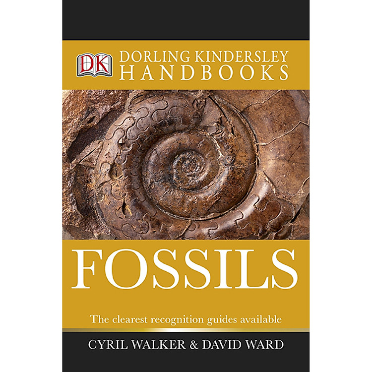 Sách Fossils