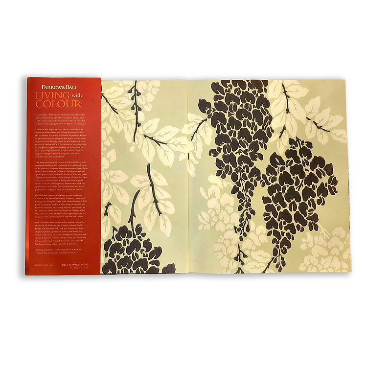 Farrow & Ball Living with Colour - Ảnh 2