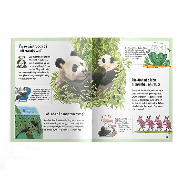 Em muốn biết vì sao kangaroo có túi và những câu hỏi khác về con non - Ảnh 5