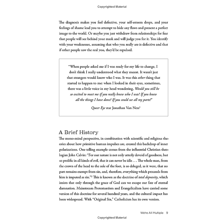 No Bad Parts: Healing Trauma And Restoring Wholeness With The Internal Family Systems Model - Ảnh 3