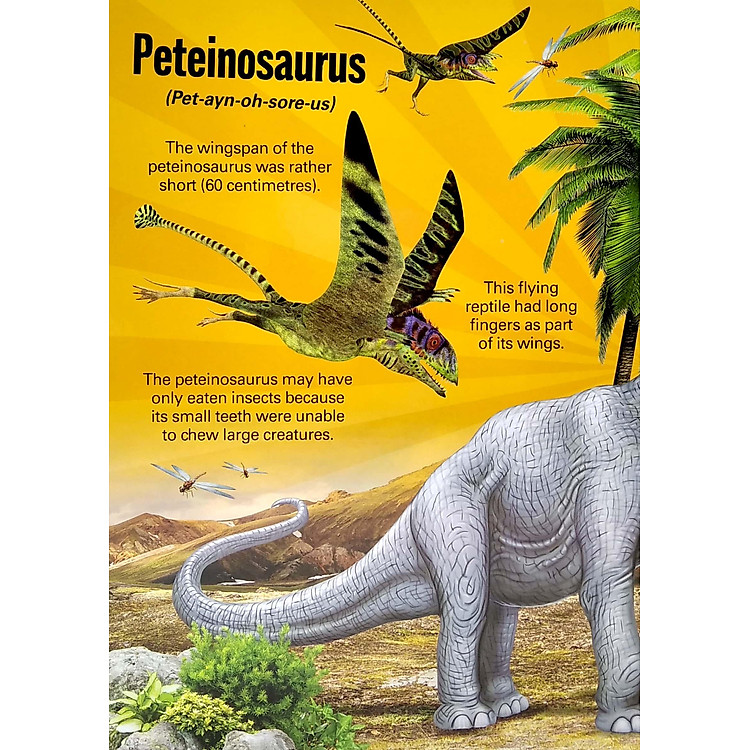 A Mega Sound Book: Roar! 10-Button Sound Book - Ảnh 3