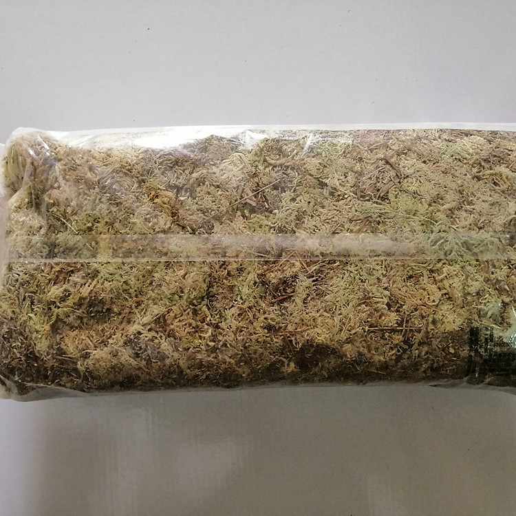 TẢO KHÔ - Tảo Mỹ - GIÁ THỂ TRỒNG LAN