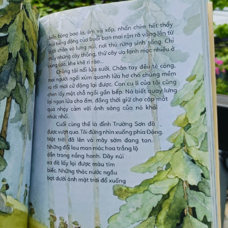 Con Cu Li Của Tôi - Ảnh 5