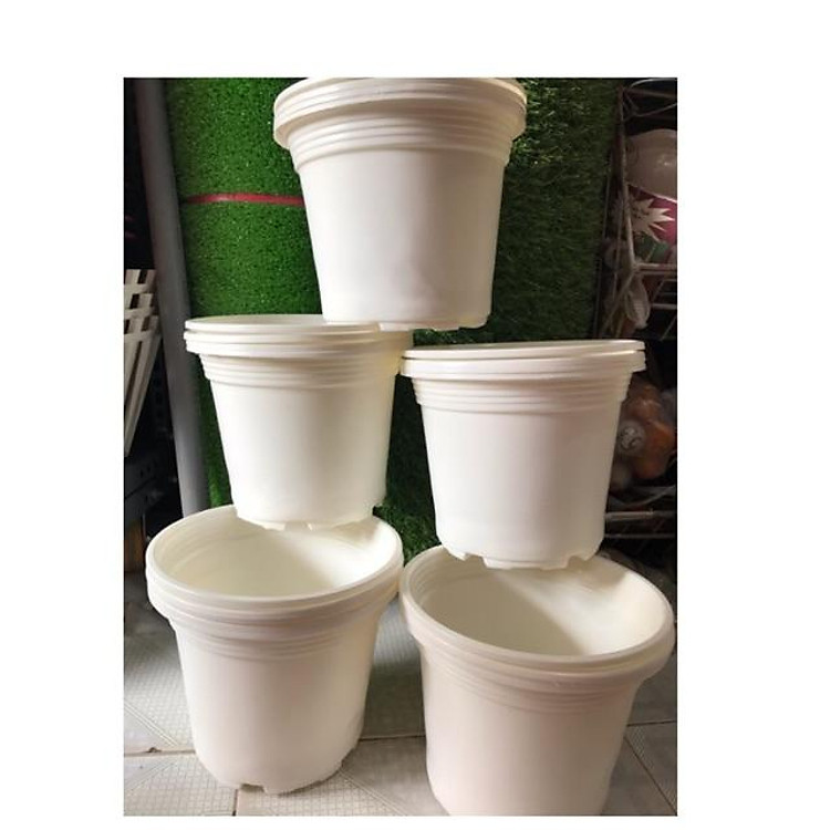 Combo 10 Chậu nhựa trồng cây 19*16