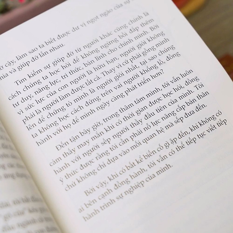 Hoa Trên Đá - Ảnh 7