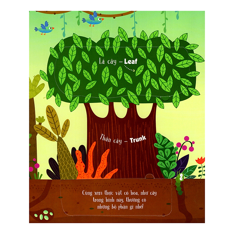 Tương Tác - Lift-The-Flap - First 100 Plants - 100 Từ Đầu Tiên Về Thế Giới Thực Vật (Tái Bản) - Ảnh 3