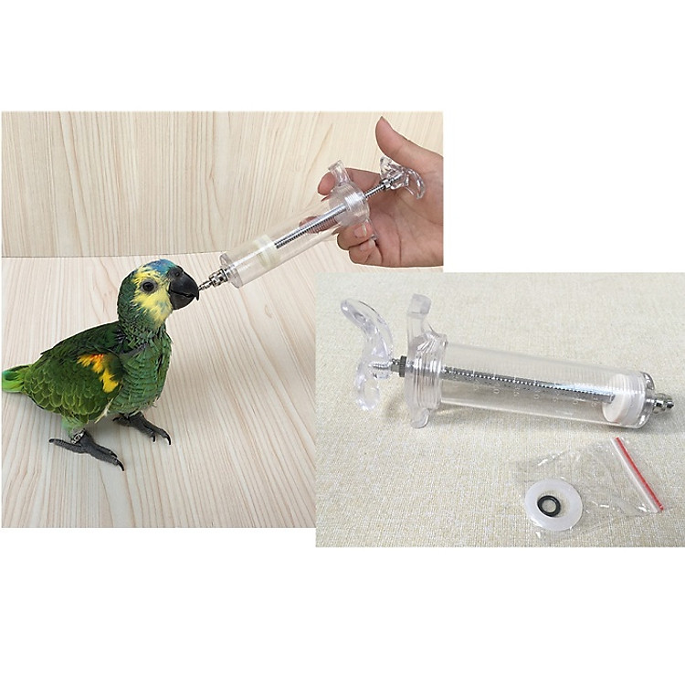 Ống cho chim ăn bền đẹp