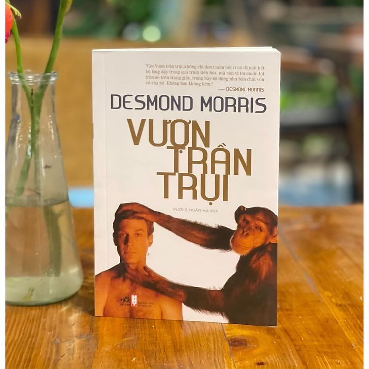 Vượn Trần Trụi - Ảnh 3