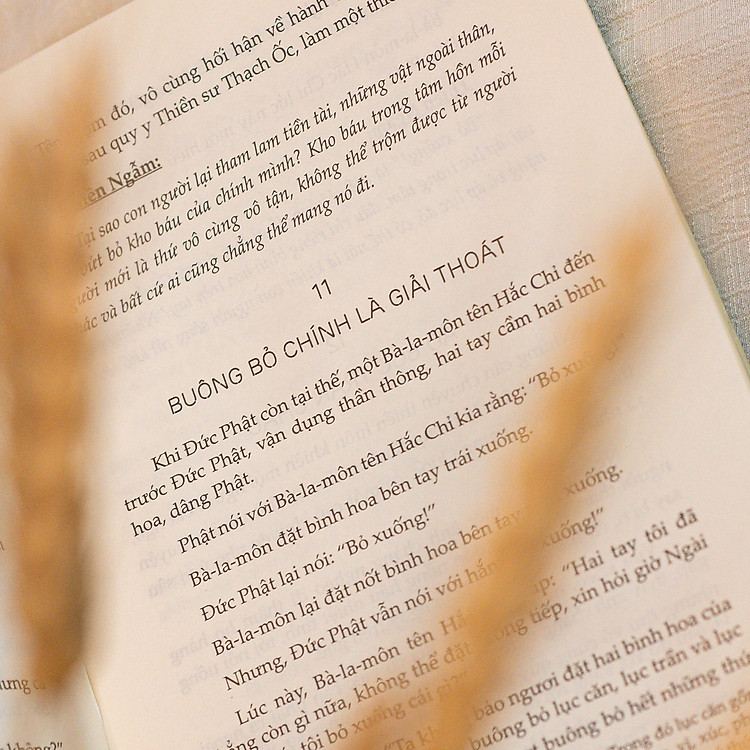 Một Tách Trà Thiền - Ảnh 4