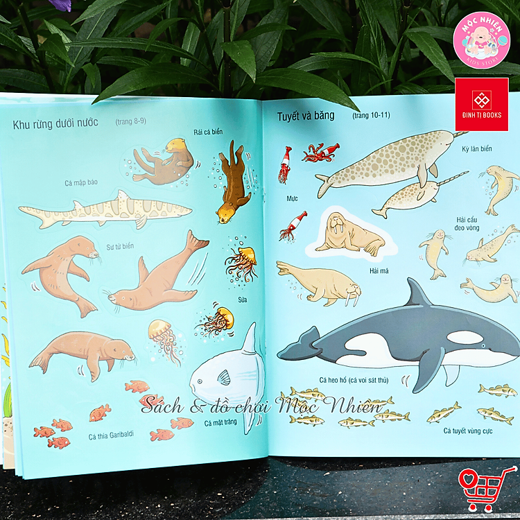 First Sticker Book - Sách dán hình đầu đời cho bé (Nhiều chủ đề) - Ảnh 2