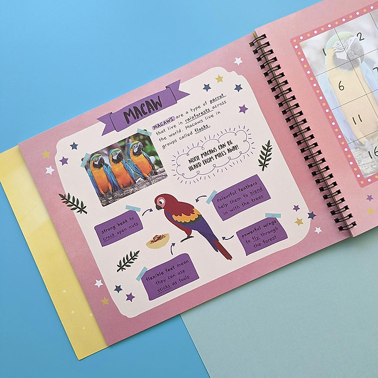 Little Wonders Sticker By Number - Jungle Animals - Ảnh 5