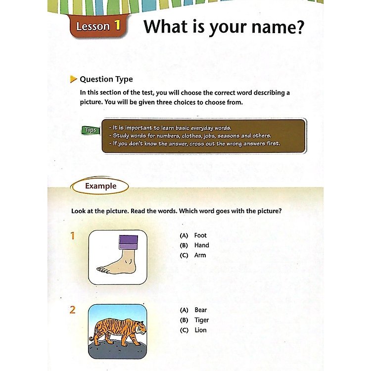 Preparation Book For TOEFL Primary Step 1 - Ảnh 3