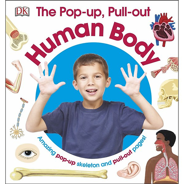 Sách The Pop-Up, Pull-Out Human Body