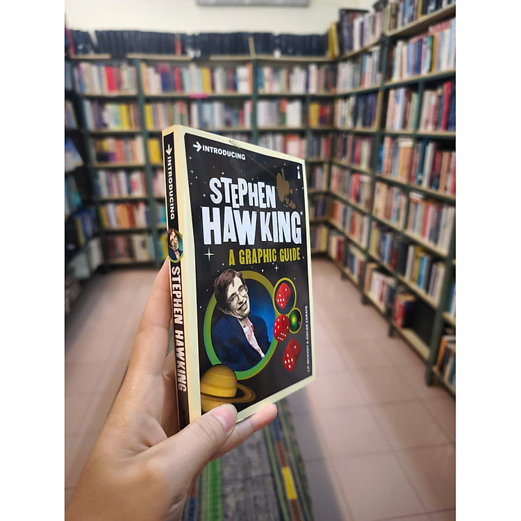 Introducing Stephen Hawking: A Graphic Guide - Ảnh 3