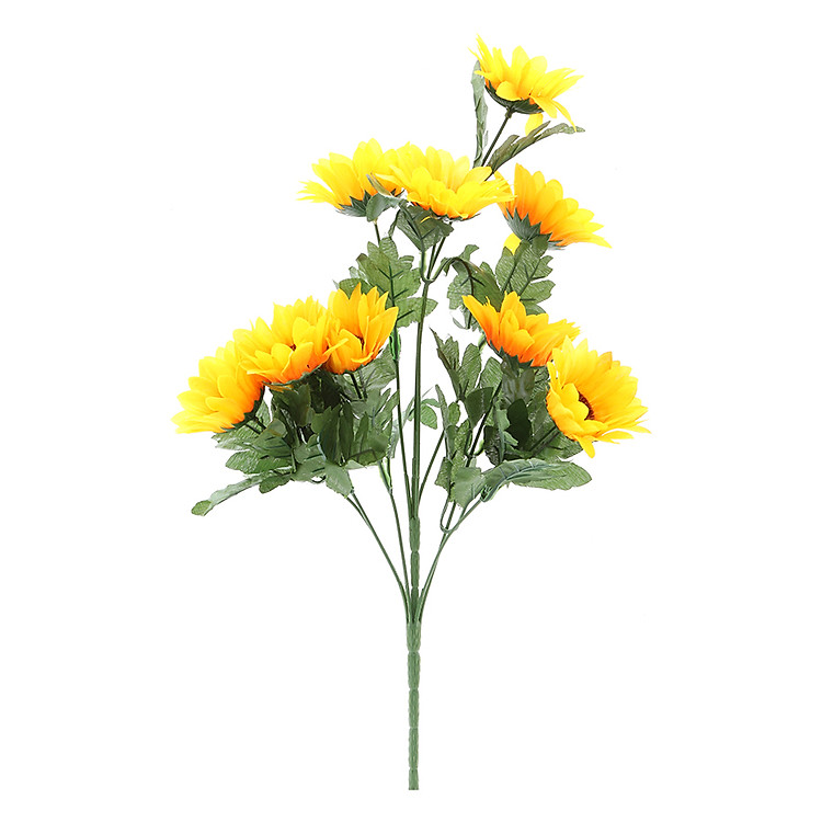 Bụi Hoa Hướng Dương 9B