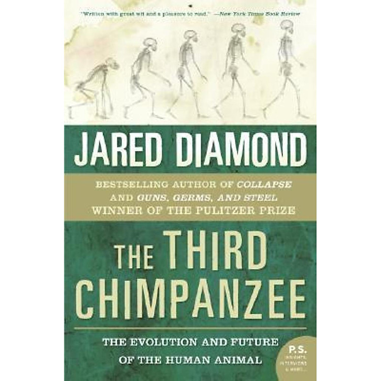 The Third Chimpanzee: The Evolution and Future of the Human Animal