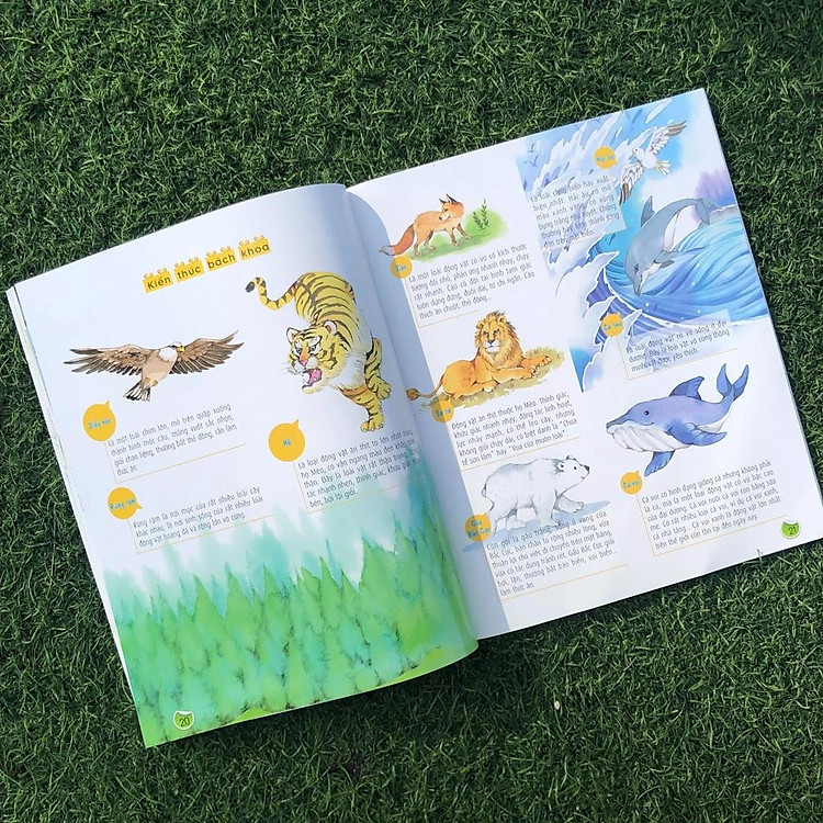 Bách Khoa Nuôi Dưỡng Thói Quen Tốt Cho Trẻ - Thói Quen Tốt Trong Giao Tiếp - Ảnh 3