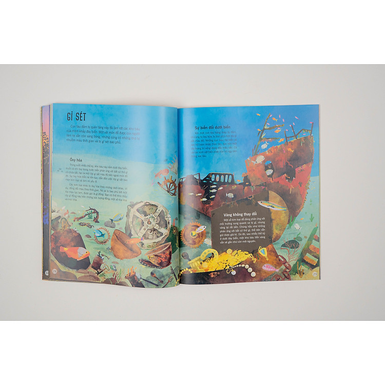 Vạn Vật Biến Đổi - Bách Khoa Tri Thức Cho Trẻ Từ 6 - 12 Tuổi - Ảnh 4